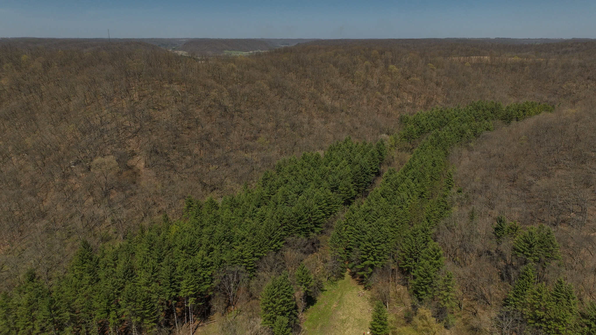 125 Acre Driftless Bluff Sanctuary | Private Valley, Spring-Fed Pond & Trophy Whitetail Haven Near Boaz