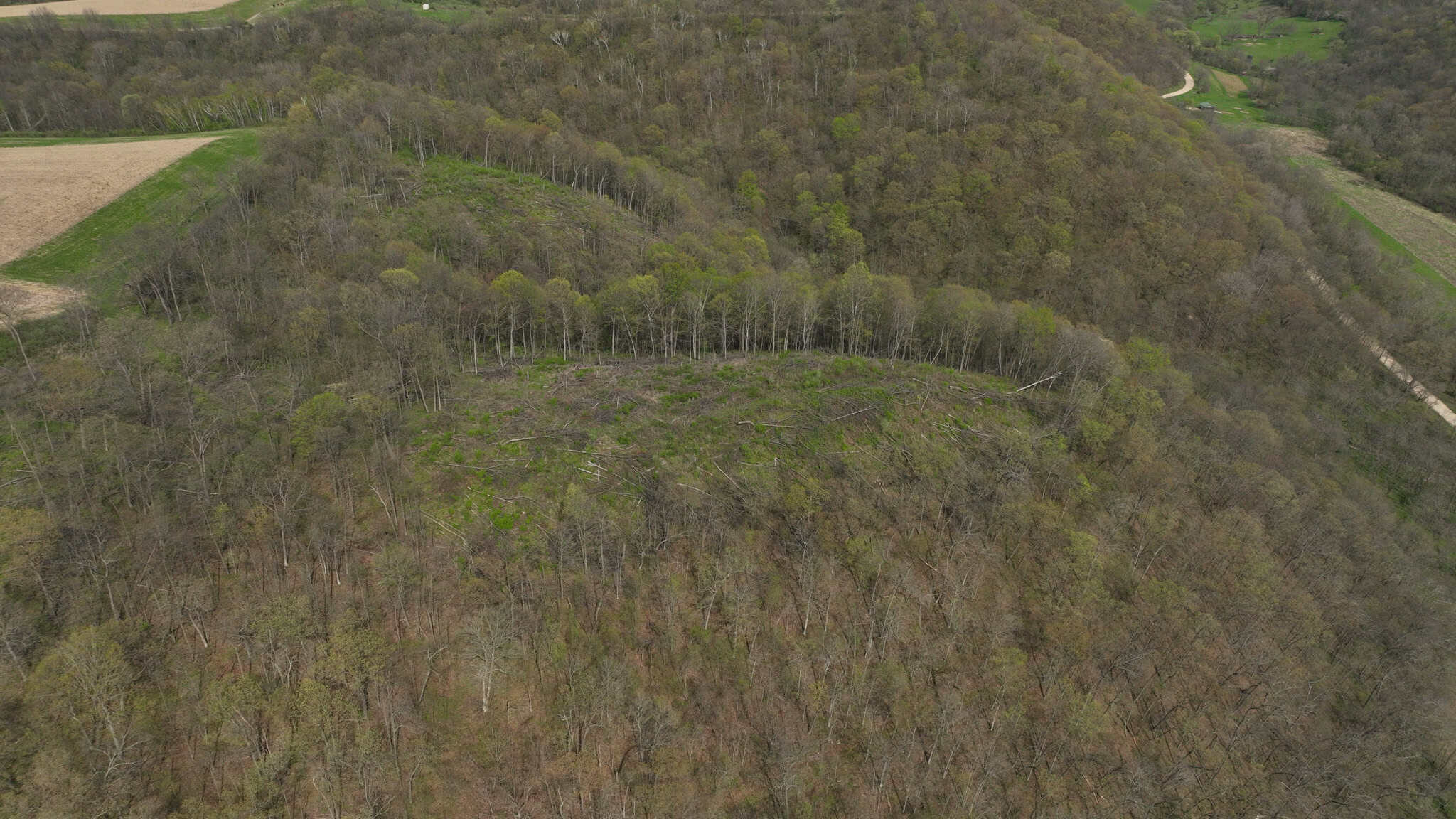 Bleck’s Booner Ridge Farm – 89+/- Acre World-Class Whitetail Sanctuary with Luxury Cabin in Boscobel