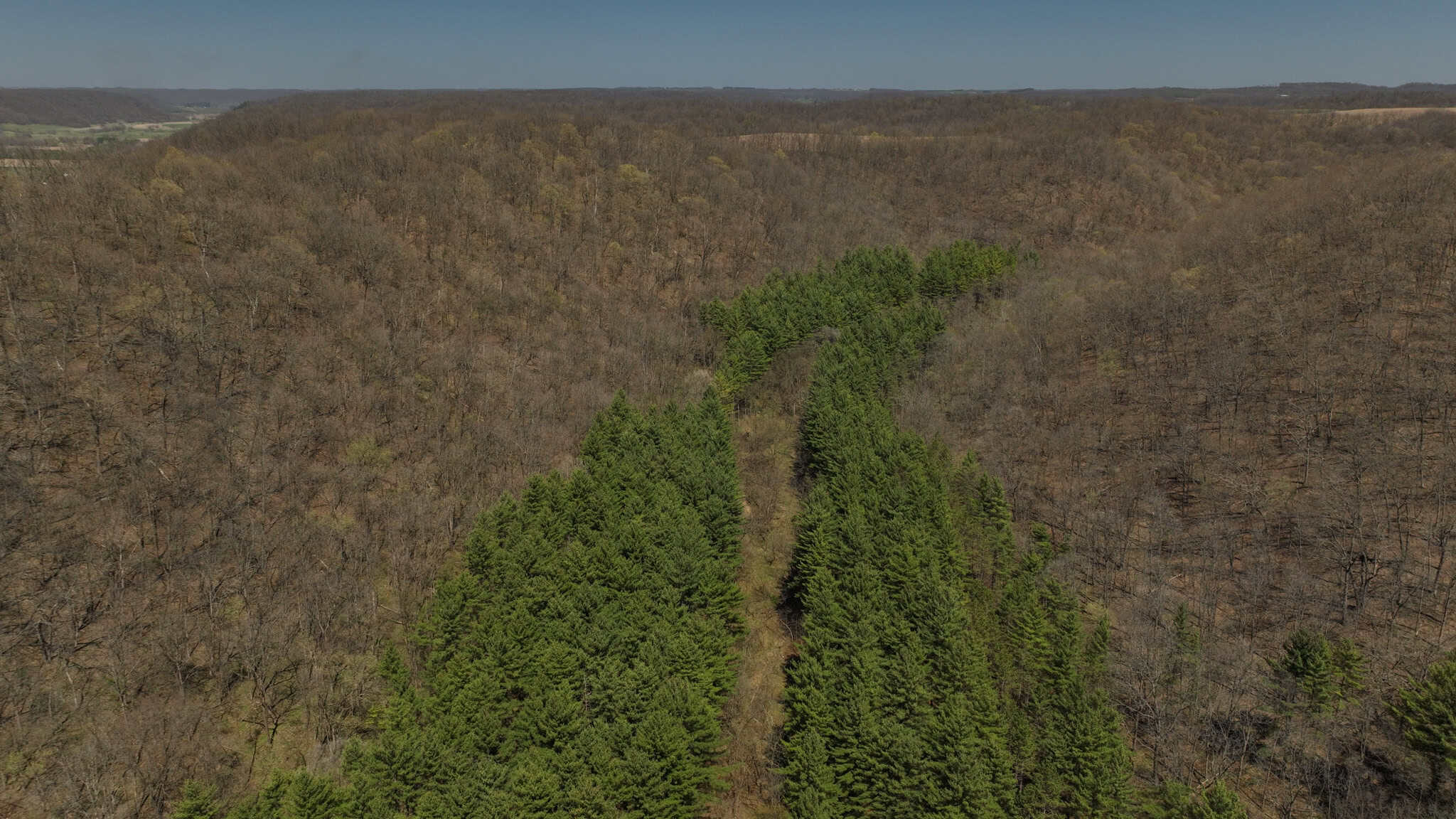 125 Acre Driftless Bluff Sanctuary | Private Valley, Spring-Fed Pond & Trophy Whitetail Haven Near Boaz
