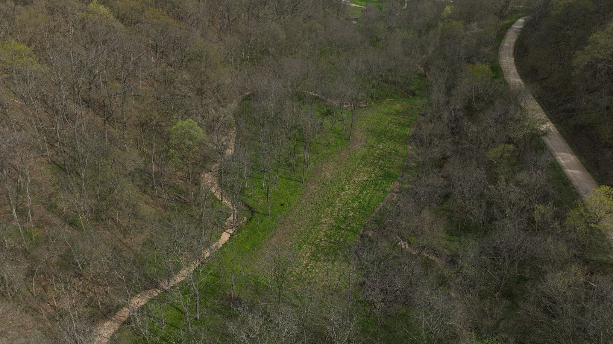 Bleck’s Booner Ridge Farm – 89+/- Acre World-Class Whitetail Sanctuary with Luxury Cabin in Boscobel