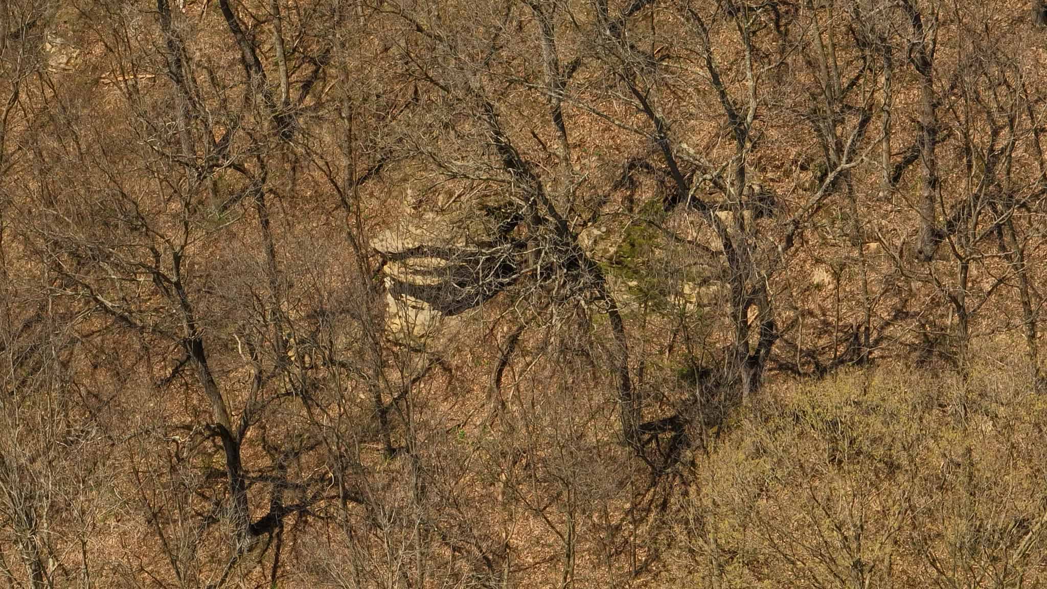 125 Acre Driftless Bluff Sanctuary | Private Valley, Spring-Fed Pond & Trophy Whitetail Haven Near Boaz