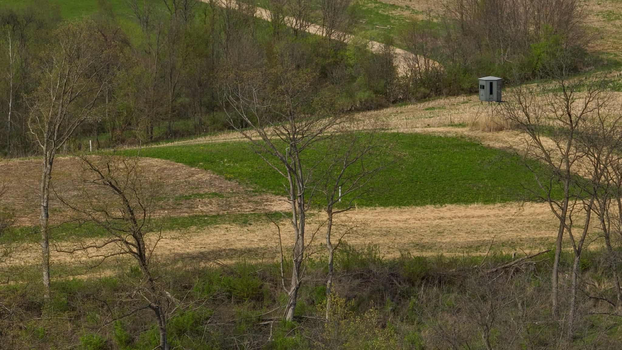 Bleck’s Booner Ridge Farm – 89+/- Acre World-Class Whitetail Sanctuary with Luxury Cabin in Boscobel