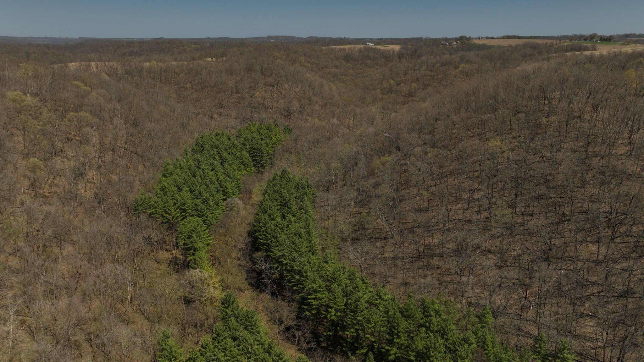 125 Acre Driftless Bluff Sanctuary | Private Valley, Spring-Fed Pond & Trophy Whitetail Haven Near Boaz
