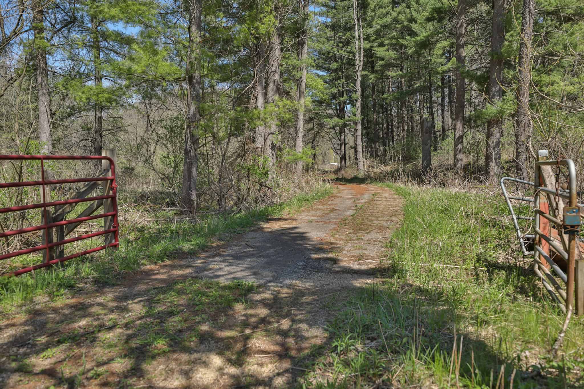 125 Acre Driftless Bluff Sanctuary | Private Valley, Spring-Fed Pond & Trophy Whitetail Haven Near Boaz