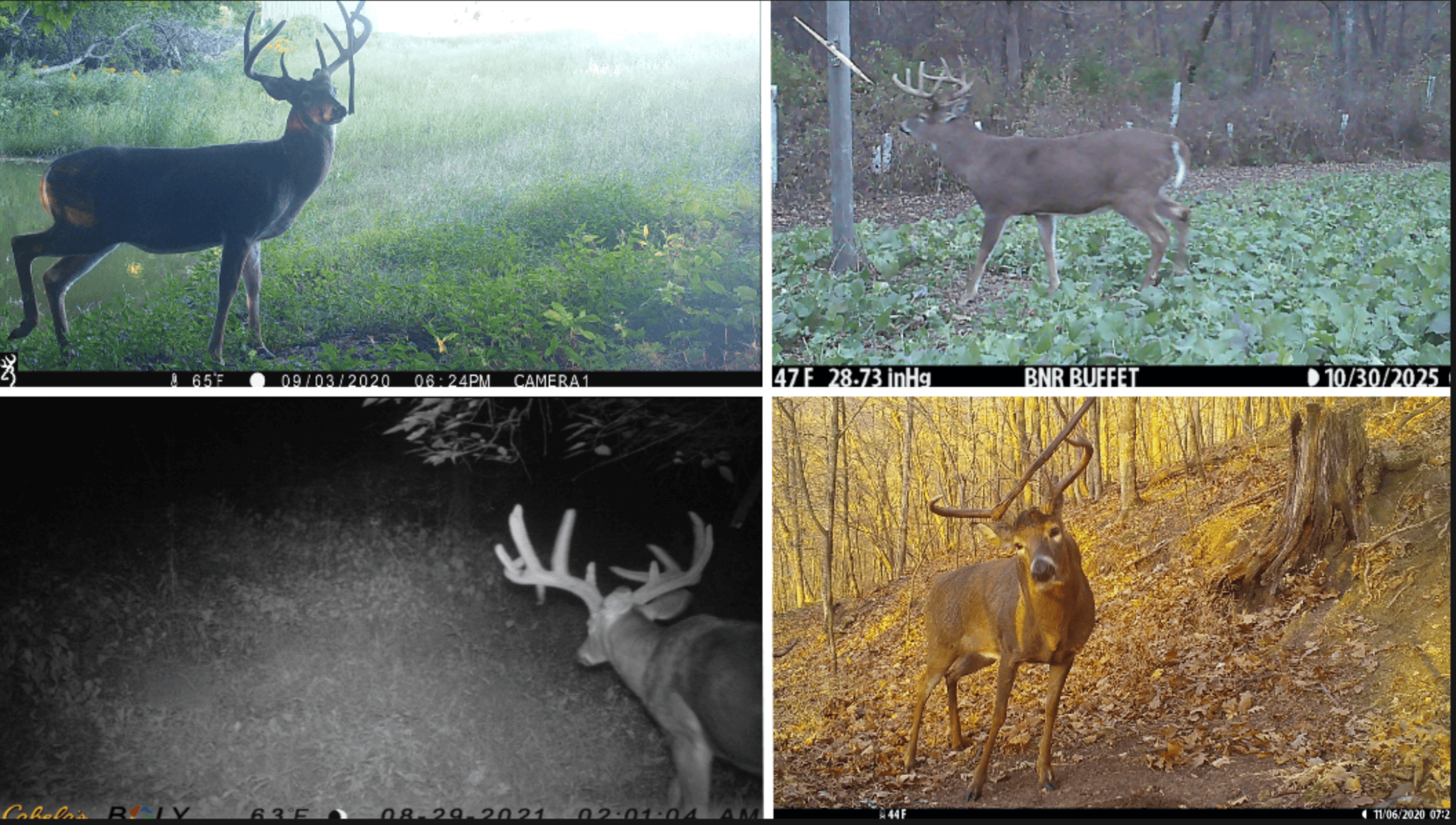 Bleck’s Booner Ridge Farm – 89+/- Acre World-Class Whitetail Sanctuary with Luxury Cabin in Boscobel