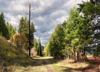 Riverfront Acreage For Sale in St. Regis, Montana