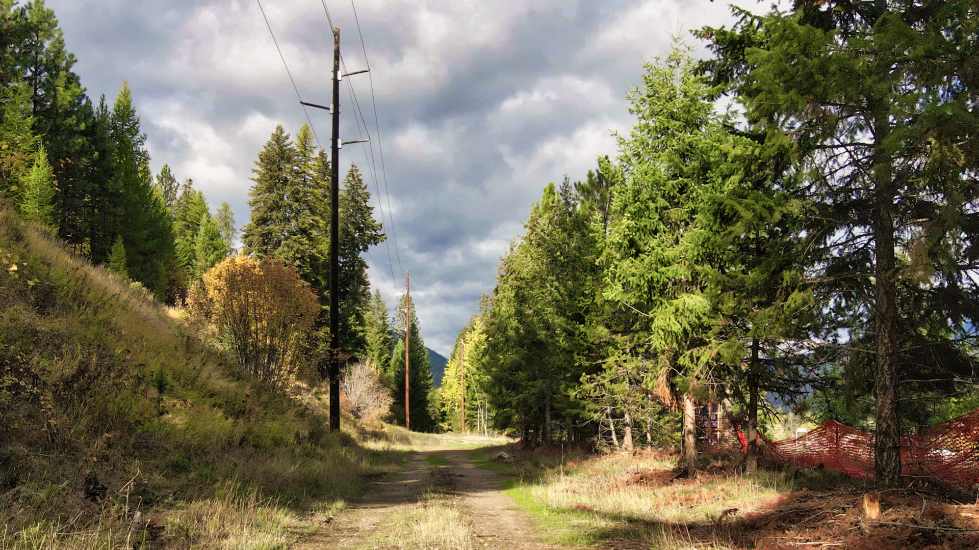 Riverfront Acreage For Sale in St. Regis, Montana