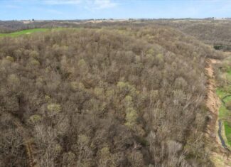 29± Acres of Driftless Beauty | Woods, Water, Pole Shed & Cottage.32