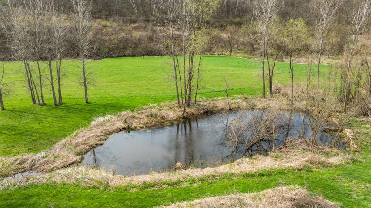 29± Acres of Driftless Beauty | Woods, Water, Pole Shed & Cottage.32