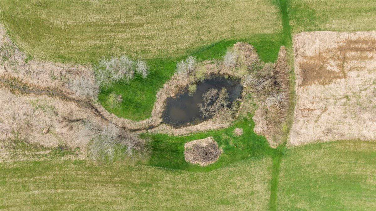 29± Acres of Driftless Beauty | Woods, Water, Pole Shed & Cottage.32
