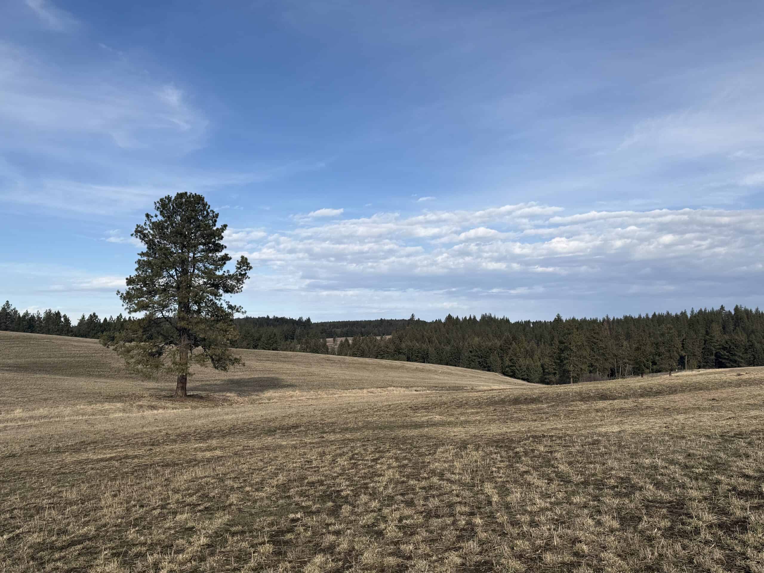 Land for Sale in Idaho County, ID at Hatke Place Ranch
