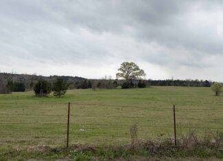 ±22 Acres with Views, Creek & Homesites Near Linden, Texas