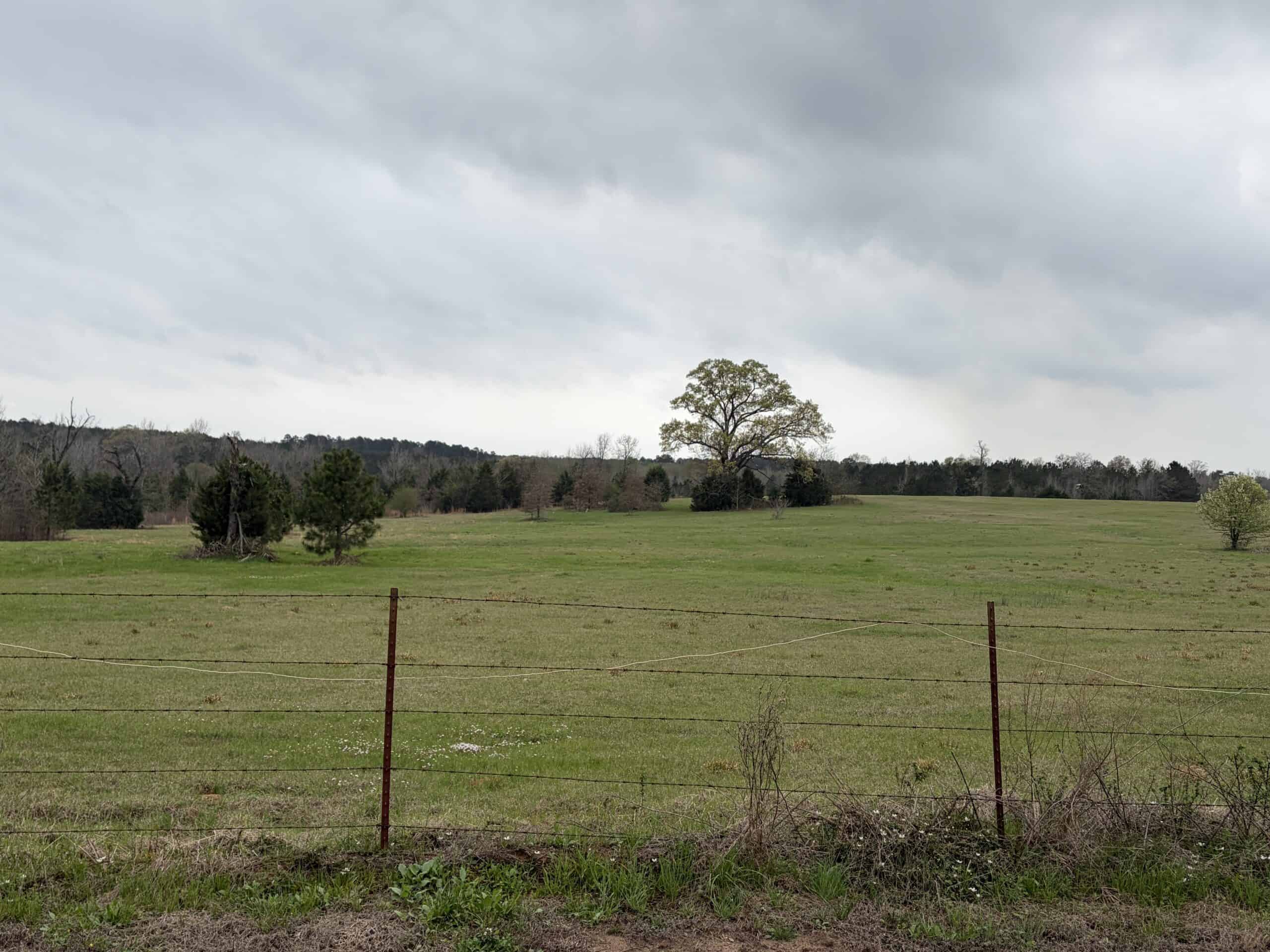 ±22 Acres with Views, Creek & Homesites Near Linden, Texas