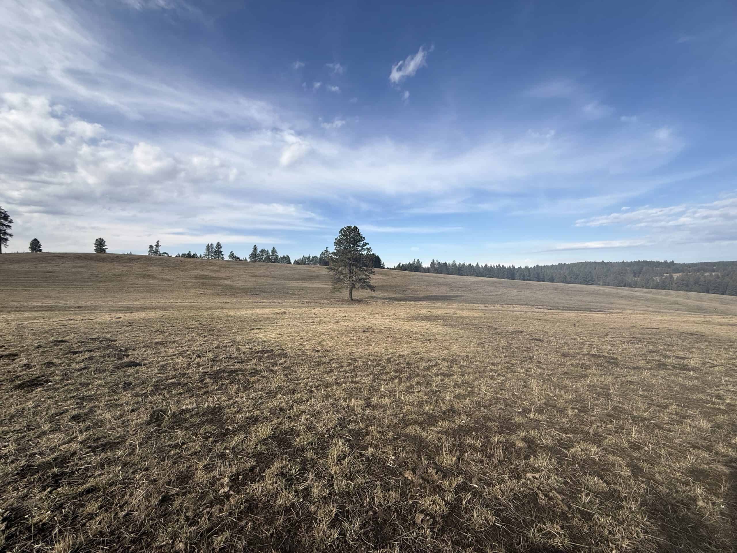 Land for Sale in Idaho County, ID at Hatke Place Ranch