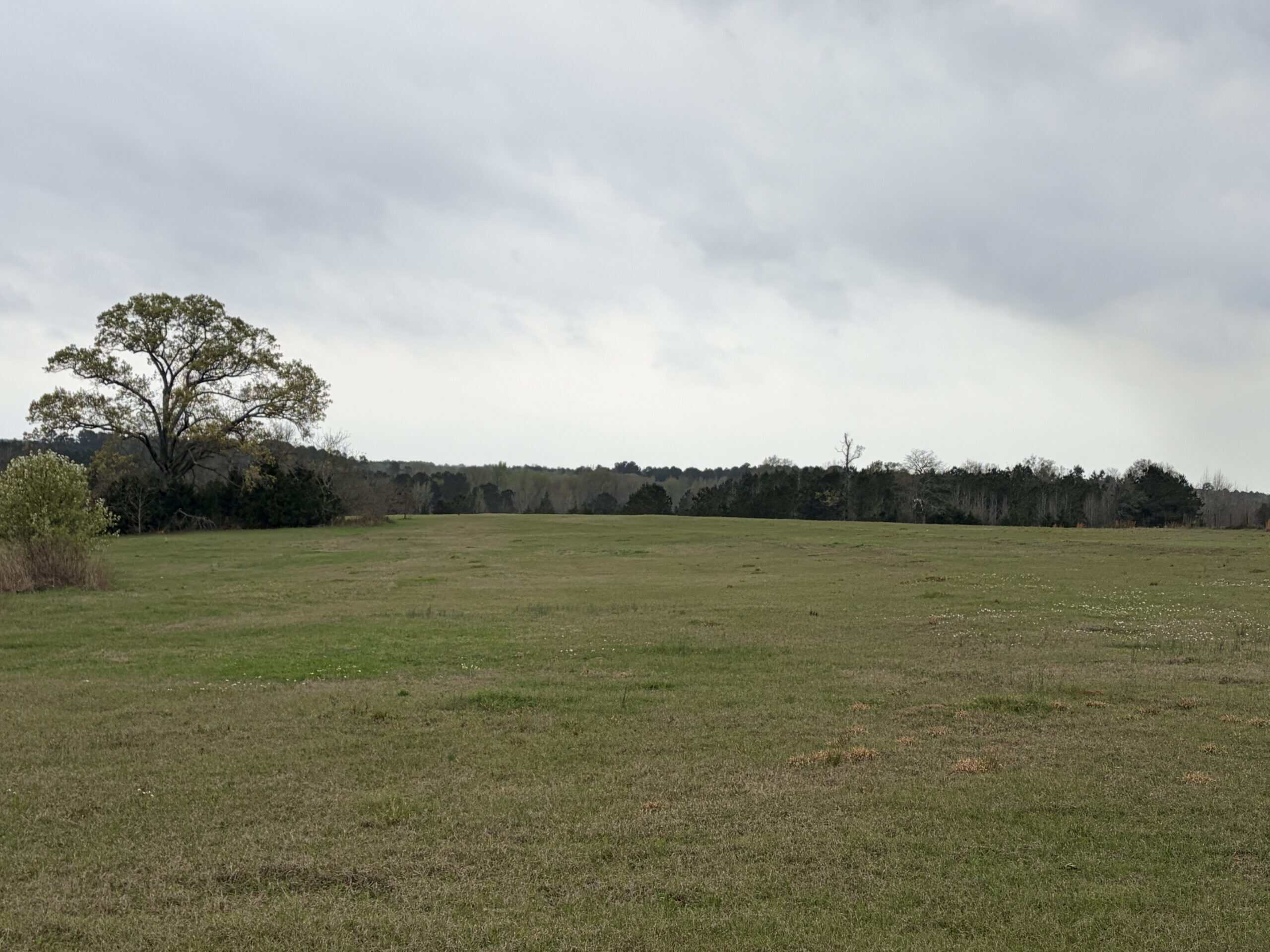 ±22 Acres with Views, Creek & Homesites Near Linden, Texas
