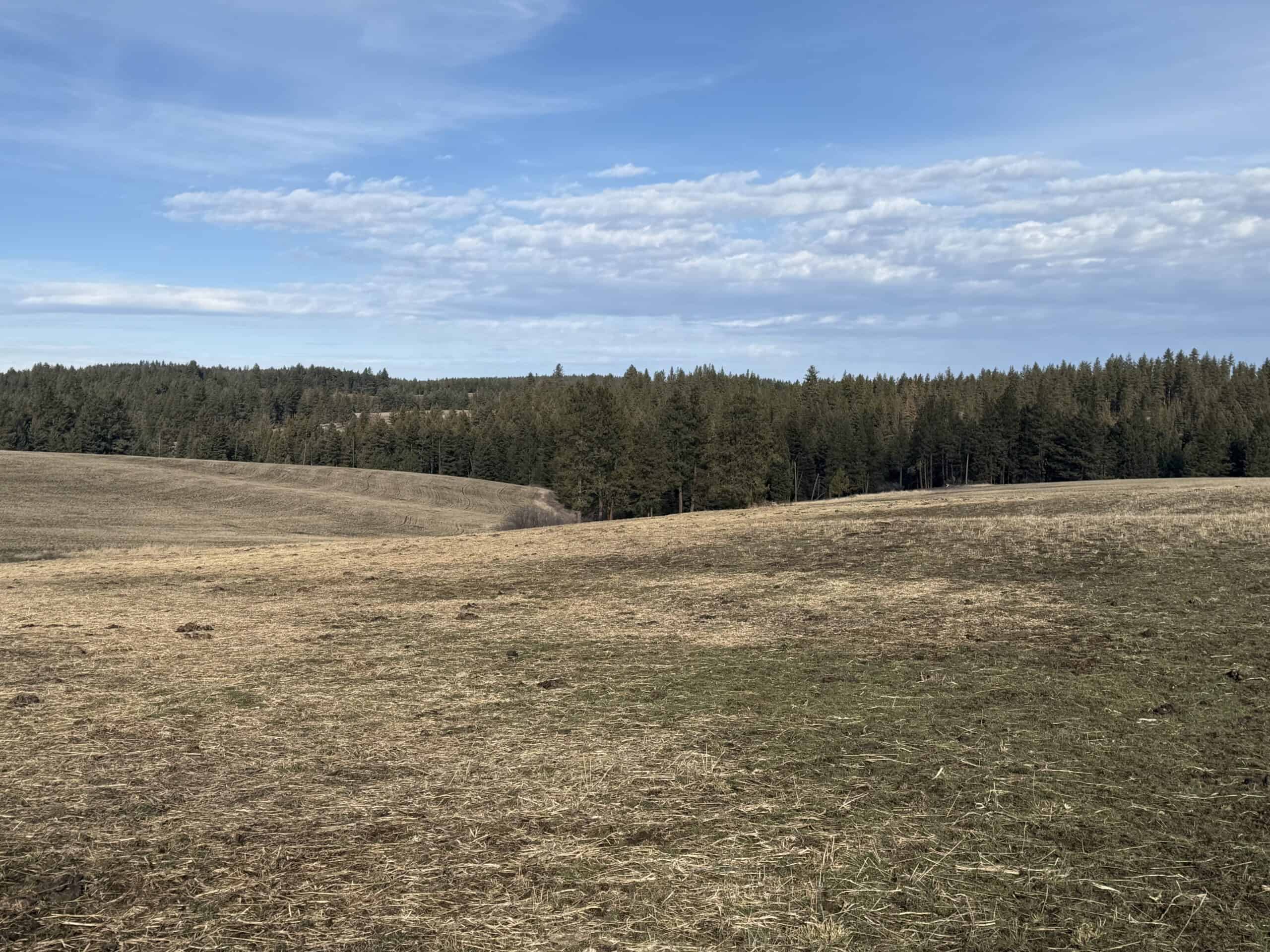 Land for Sale in Idaho County, ID at Hatke Place Ranch