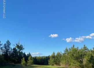 Hunting and Recreational Land for Sale in Amite County, Miss