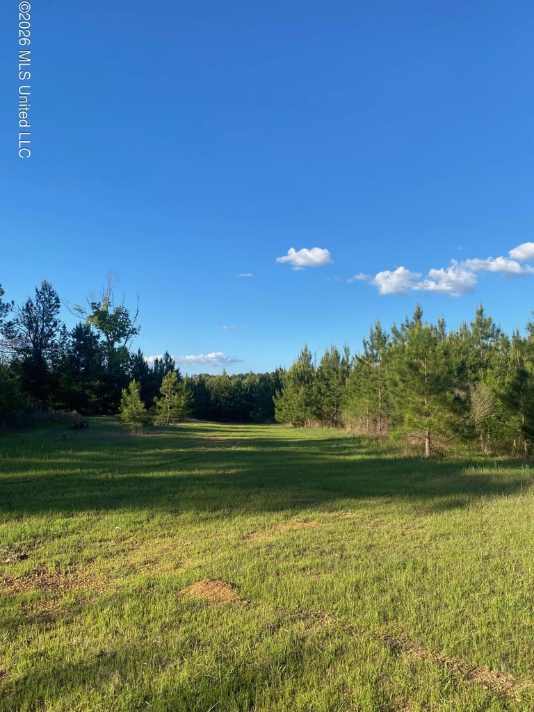 Hunting and Recreational Land for Sale in Amite County, Miss