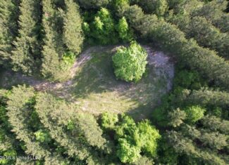 46 Acres in St. Helena Parish, LA Hunting Property for Sale