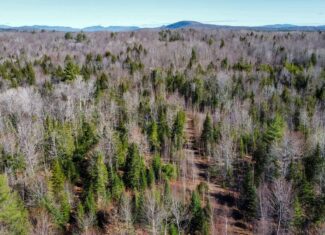 Western Maine Land for Sale – Near Sugarloaf & Outdoor Recreation
