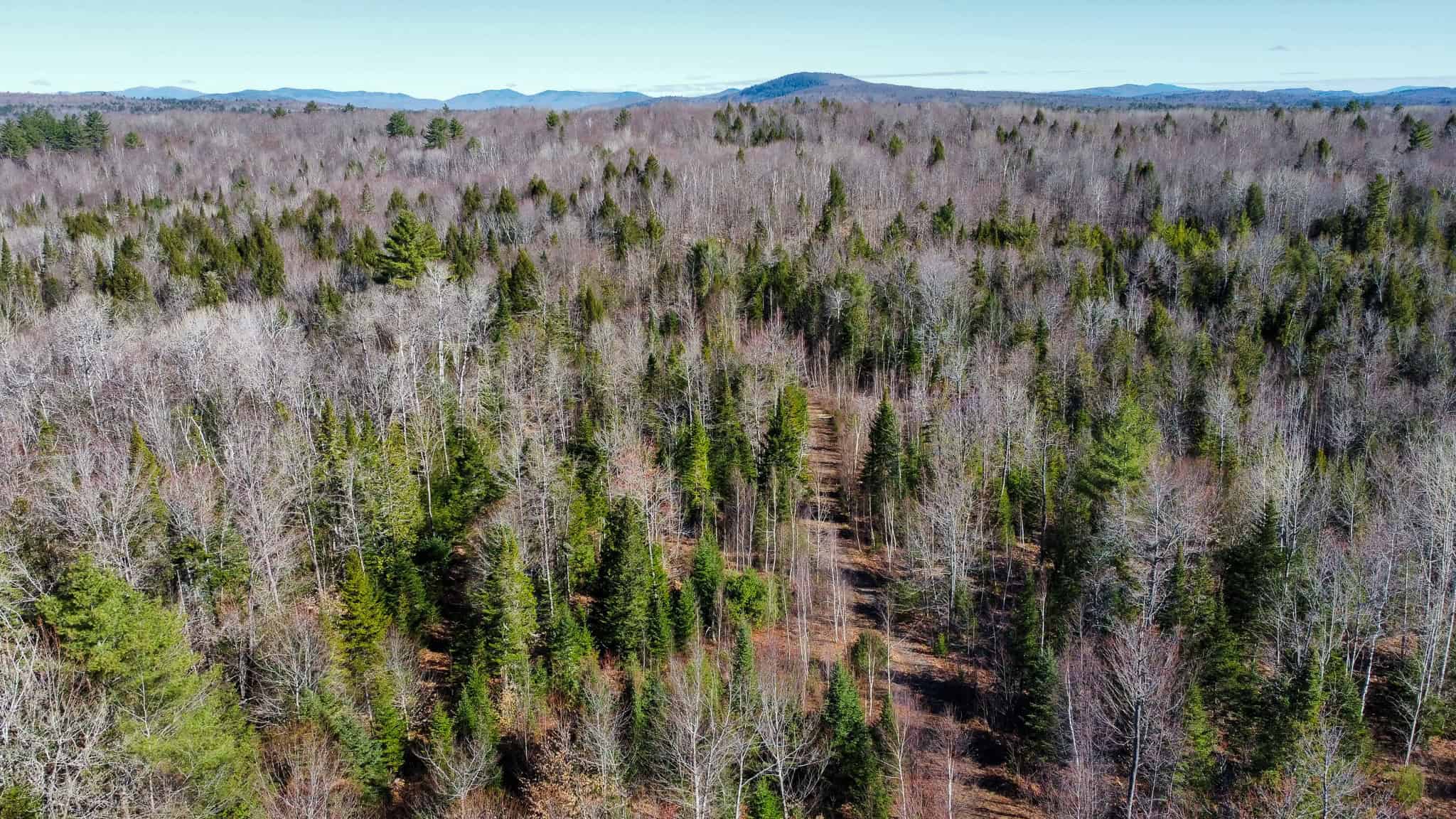 Western Maine Land for Sale – Near Sugarloaf & Outdoor Recreation