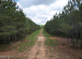47 Acres in St. Helena Parish, LA with Black Creek
