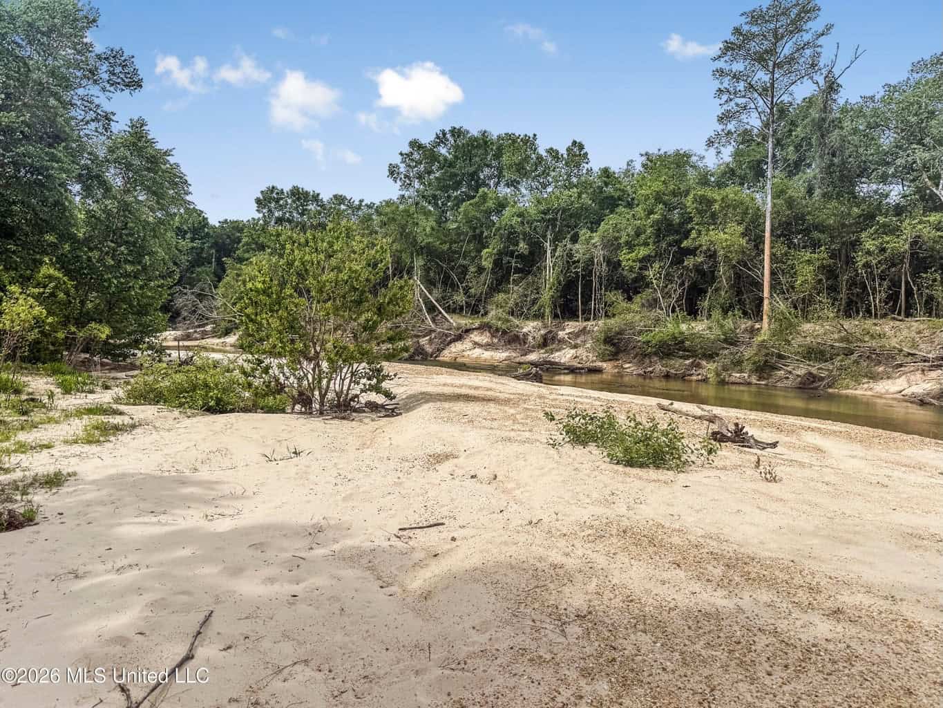 23 Acres of Riverfront Property with Sand Bar and Cabins