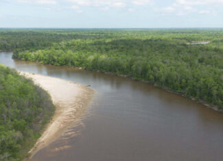 385 Acres Pearl River Frontage Louisiana