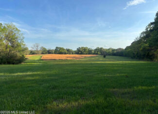 77 Acres in Edwards, MS Hinds County Big Black River Region