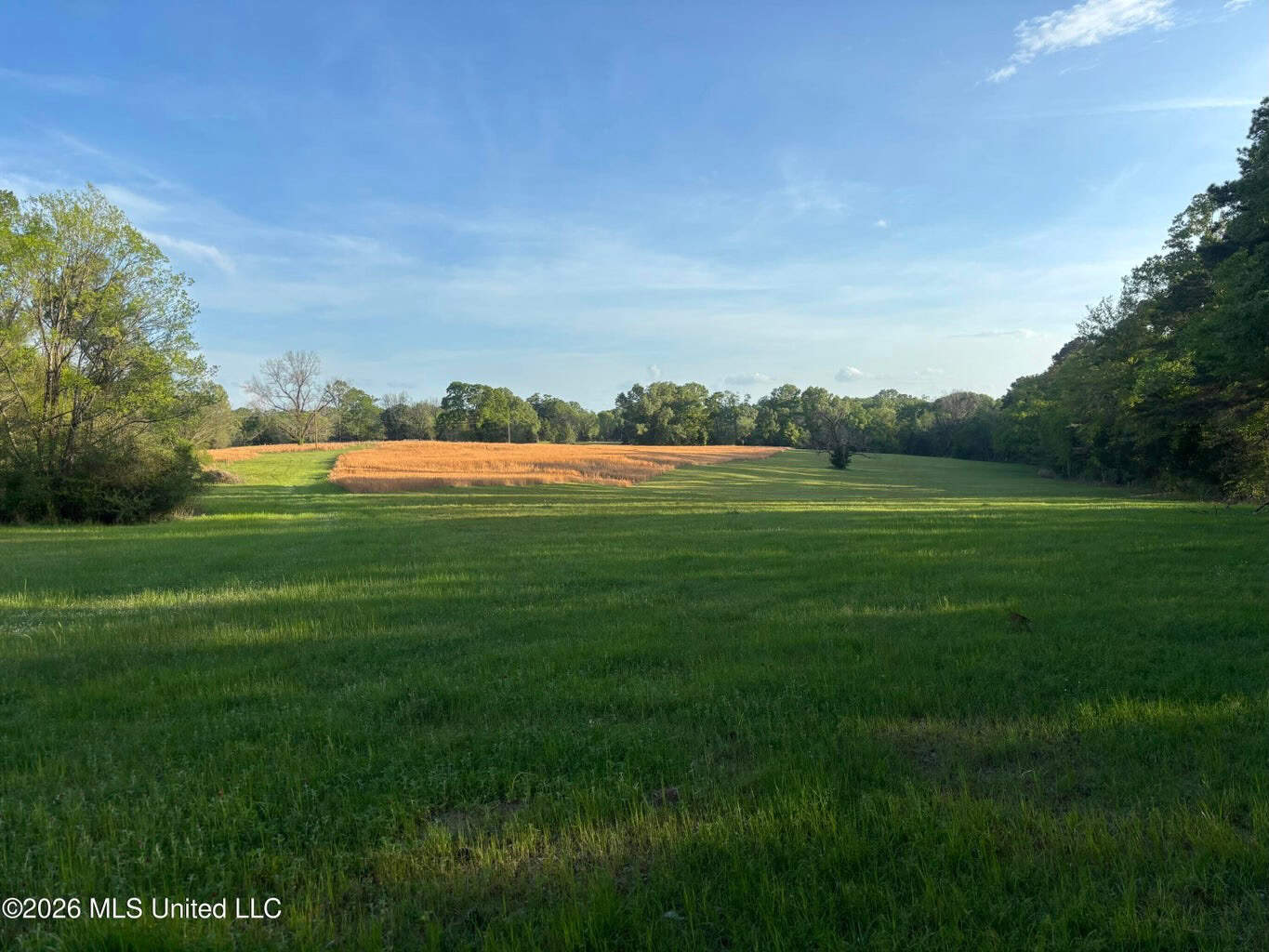 77 Acres in Edwards, MS Hinds County Big Black River Region