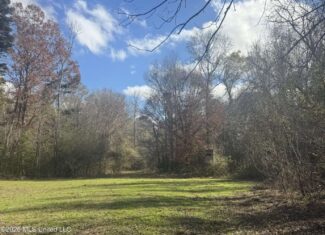 South Mississippi Hunting Land for Sale in Walthall County