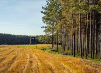 455 Acres Hunting & Income Land in Choctaw County MS
