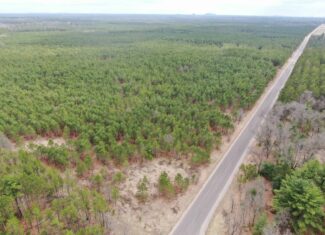 80± acre timber tract in the heart of northern Adams County