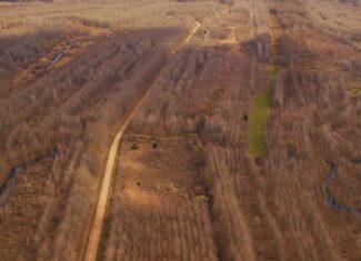 Tensas Parish Duck and Deer Hunting Property
