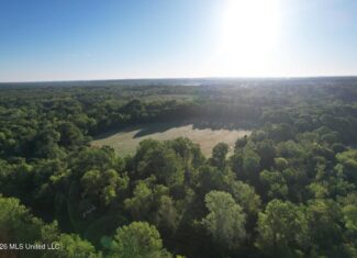 266± Acres Hinds/Copiah Line with Creek and Income