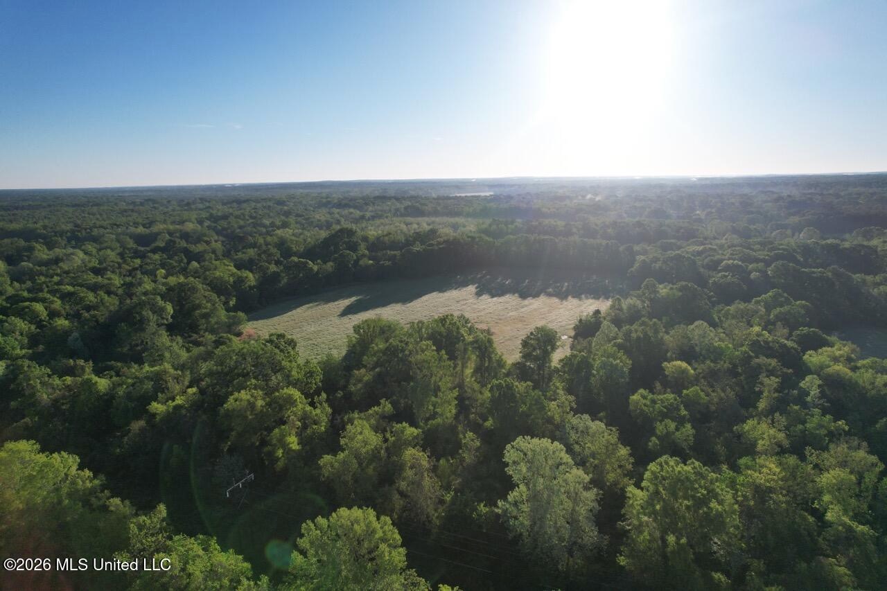 266± Acres Hinds/Copiah Line with Creek and Income