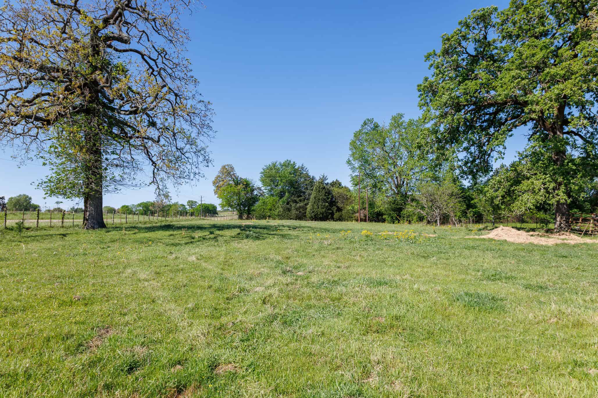 31.74 Acre Recreational Ranch Near Bullard in Smith County TX