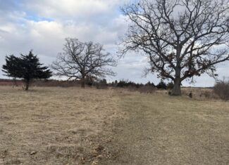 44± Acre Premier Duck and Deer Hunting Property Marquette Cty WI