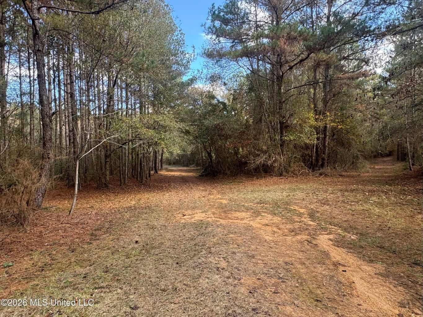 South Mississippi Hunting Land for Sale in Walthall County