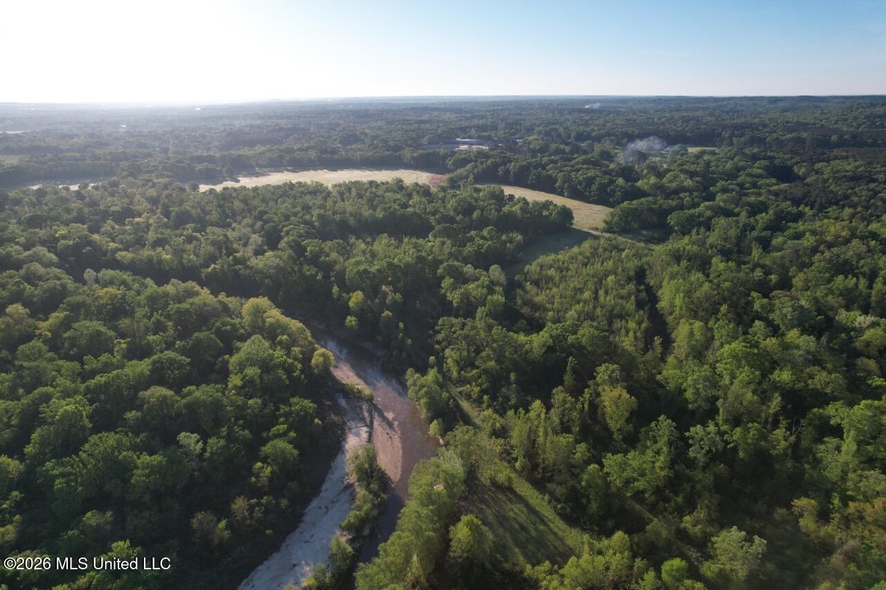 266± Acres Hinds/Copiah Line with Creek and Income