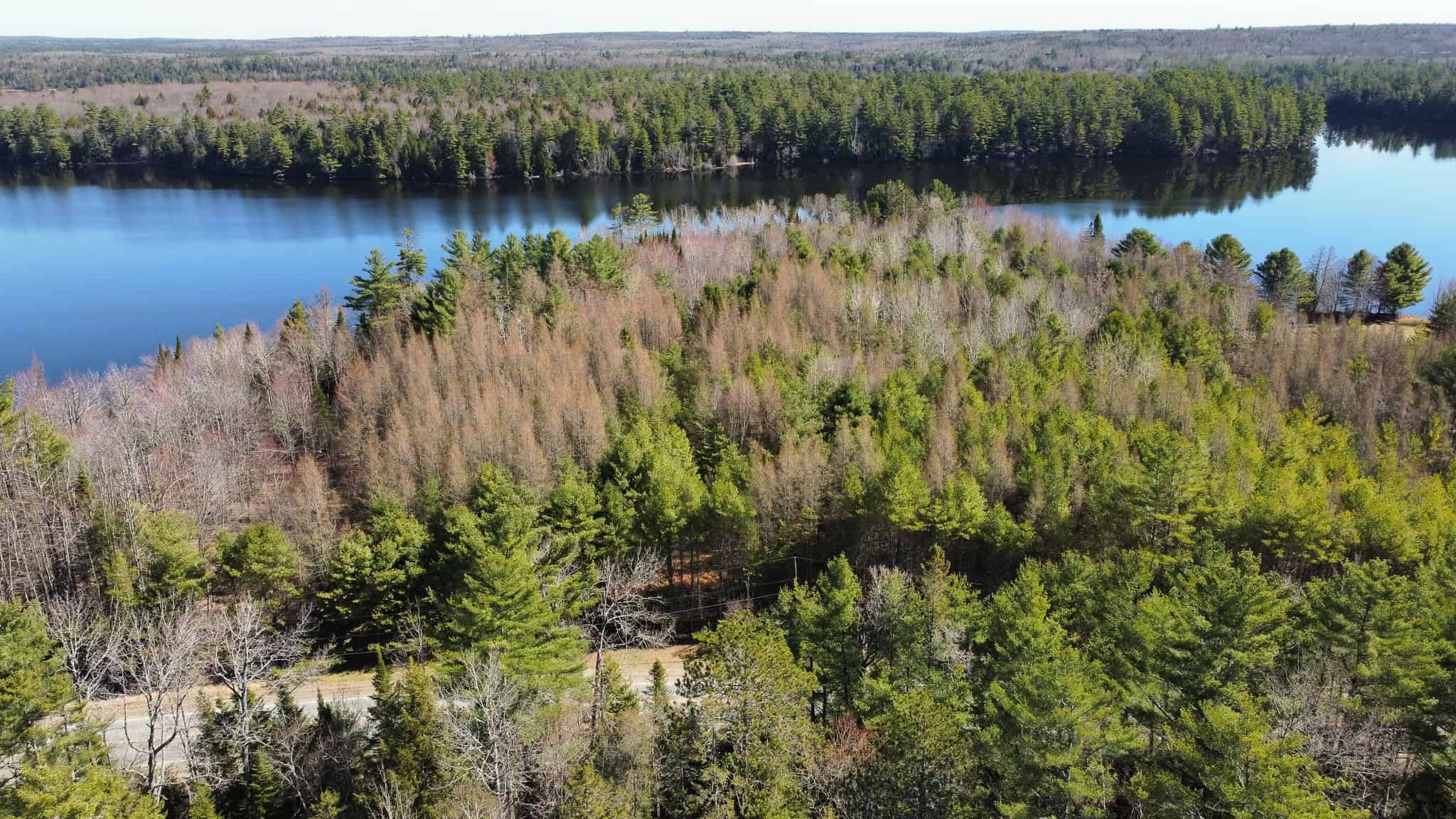 Riverfront Property with 16 Acres – Medway, Maine