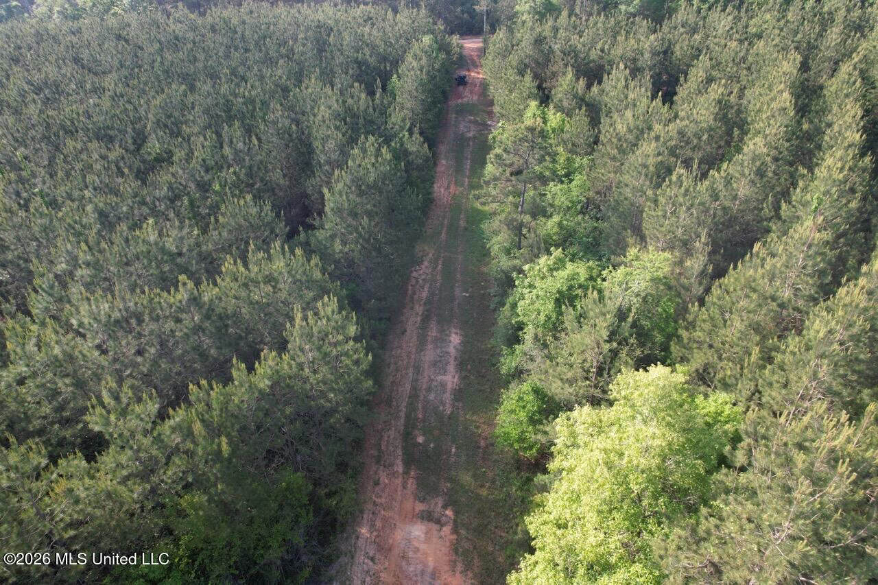 46 Acres in St. Helena Parish, LA Hunting Property for Sale