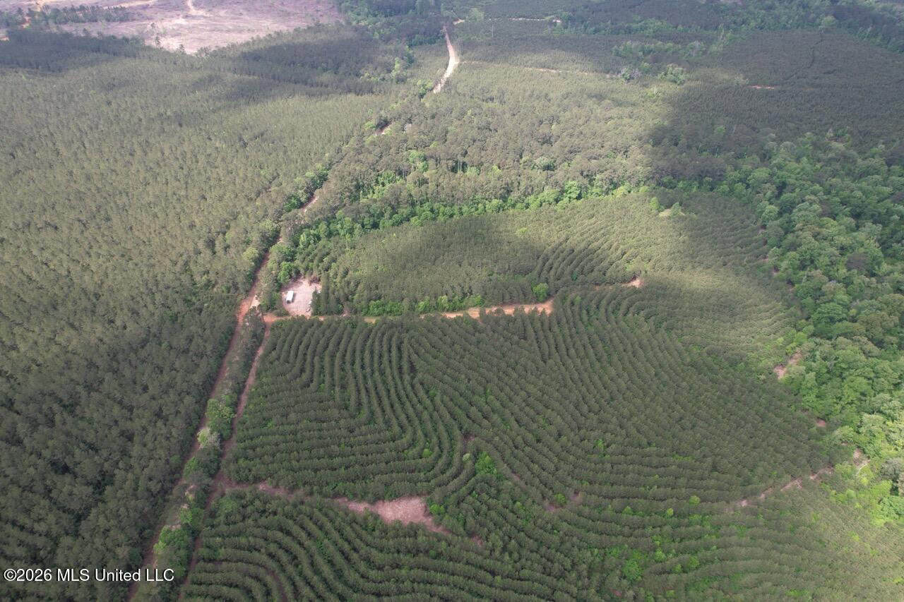 47 Acres in St. Helena Parish, LA with Black Creek