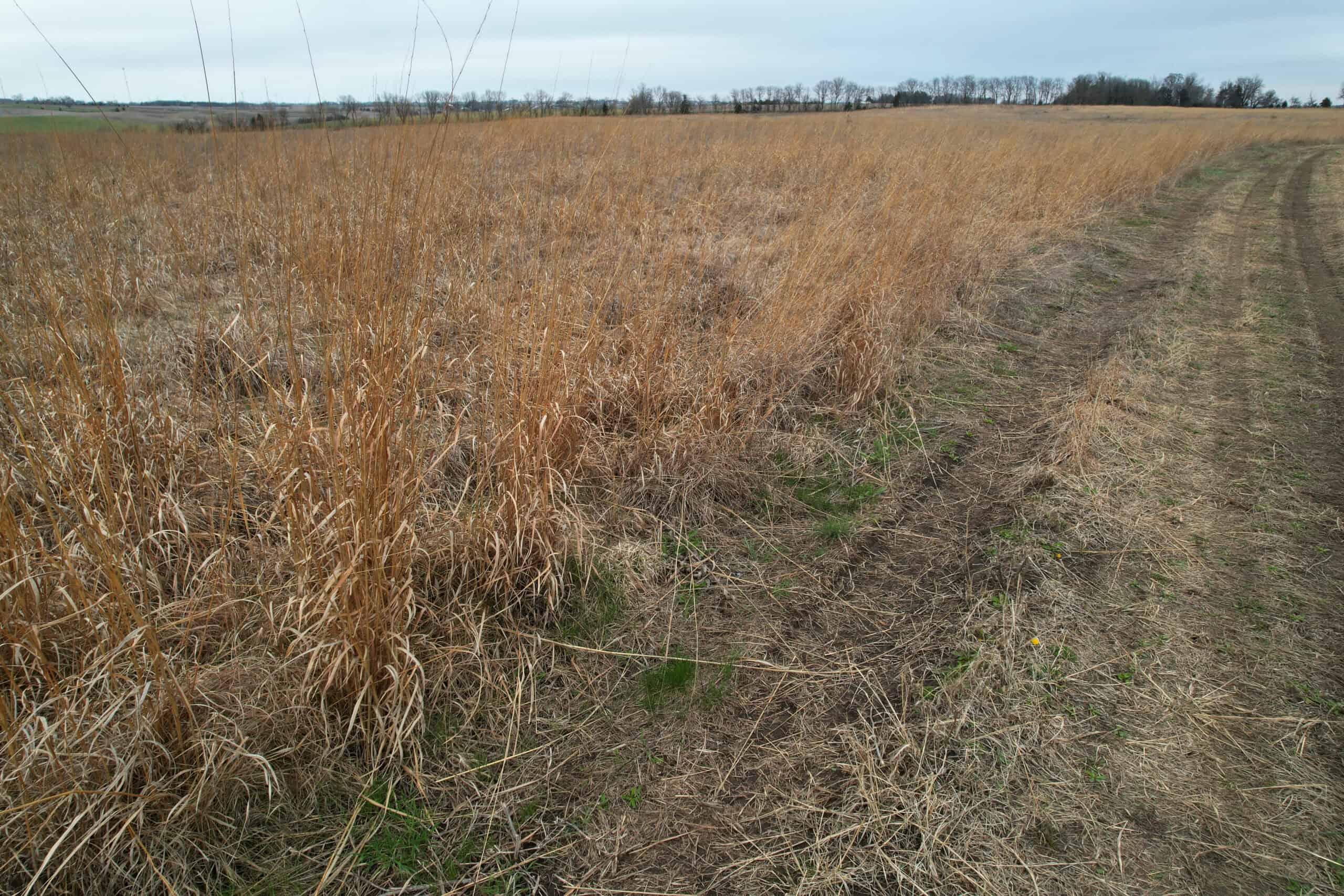 Southwest Iowa Recreational CRP Farm