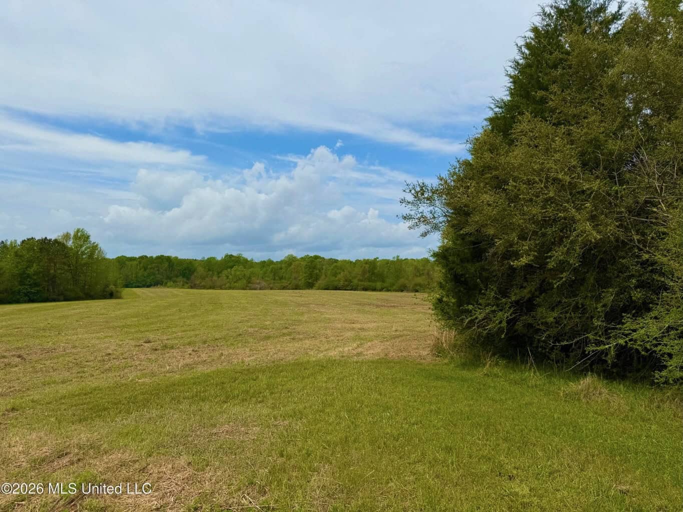 64+- Pastureland West Lincoln School Smithdale MS
