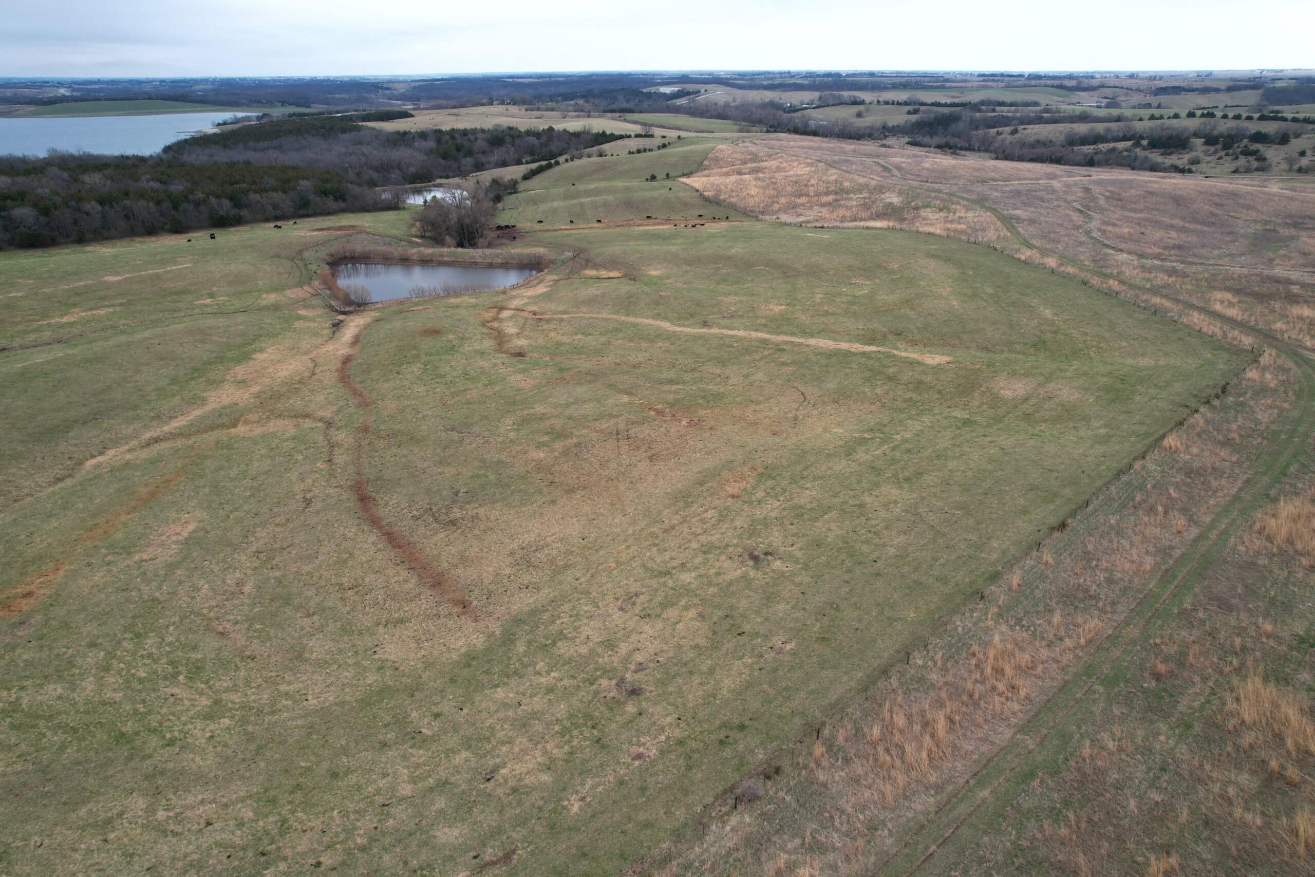 Southwest Iowa Income Producing Combination Farm