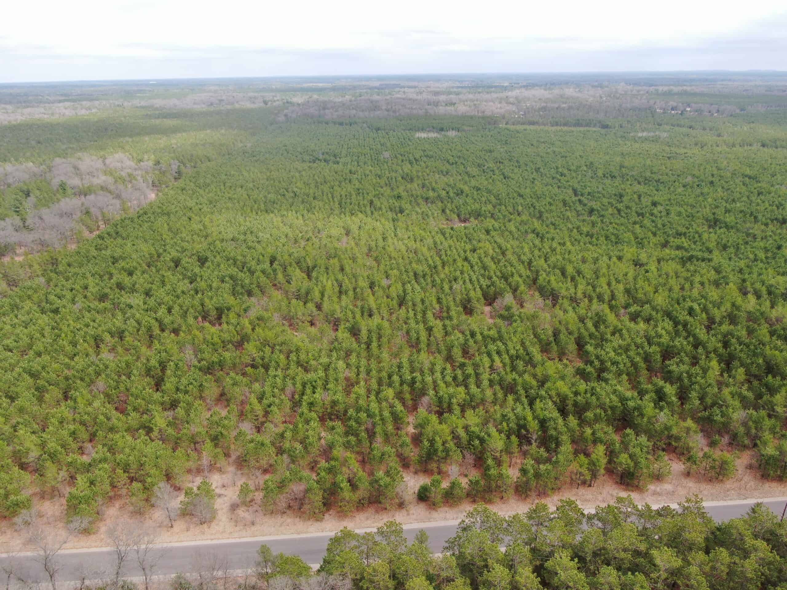 80± acre timber tract in the heart of northern Adams County