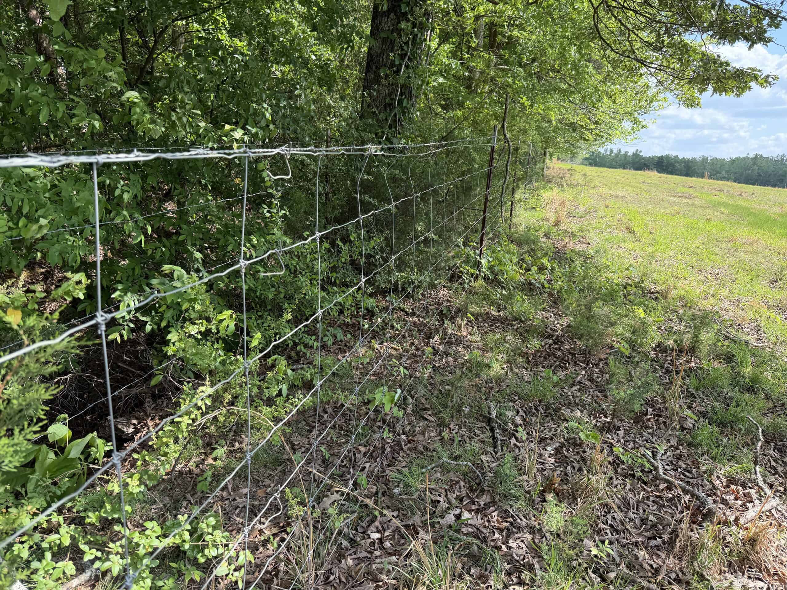 OPEN LAND FOR SALE IN TN, OLD HOUSE, BRANCH, FENCING, DEER & TURKEY HUNTING