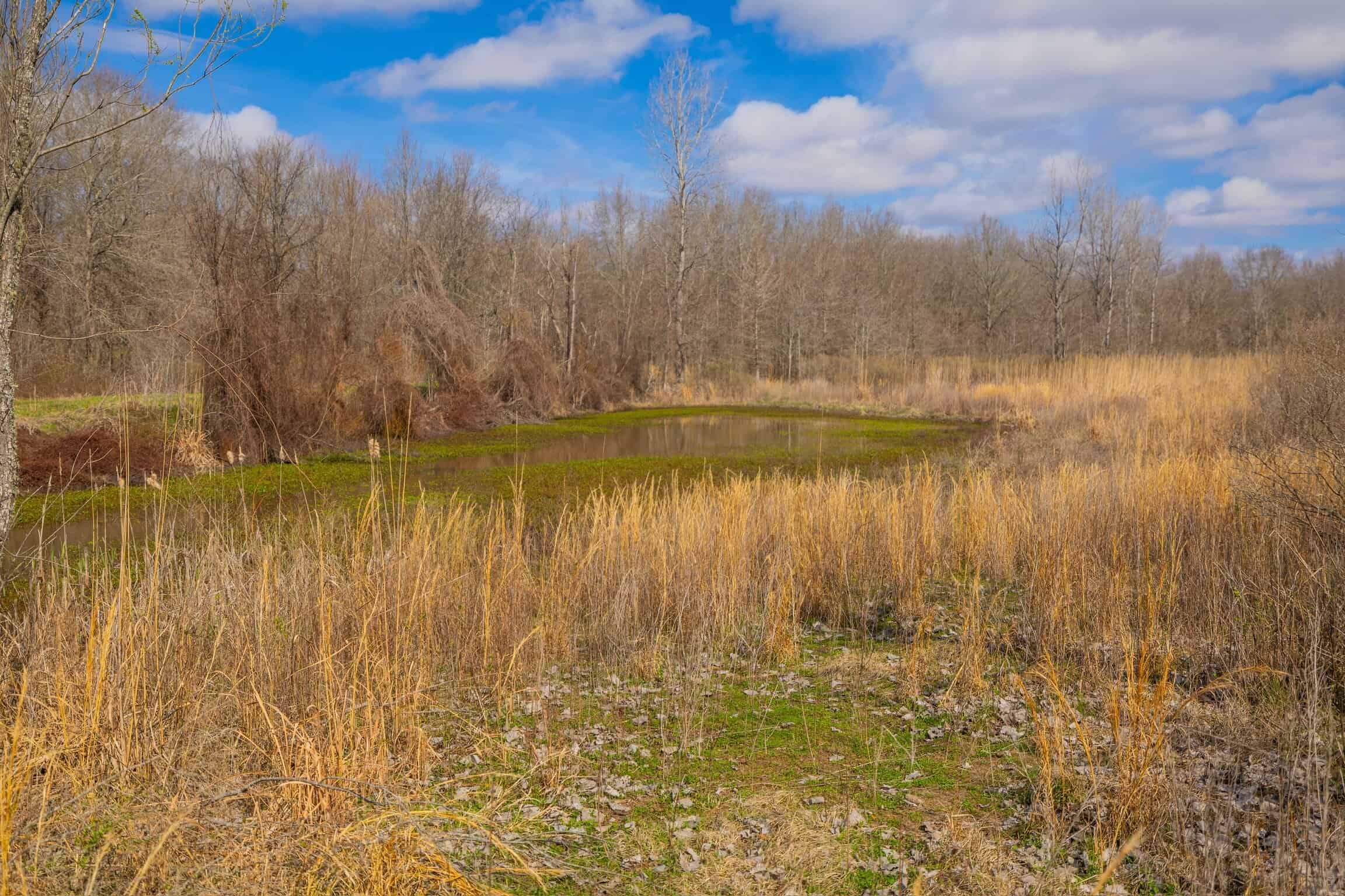 Tensas Parish Duck and Deer Hunting Property