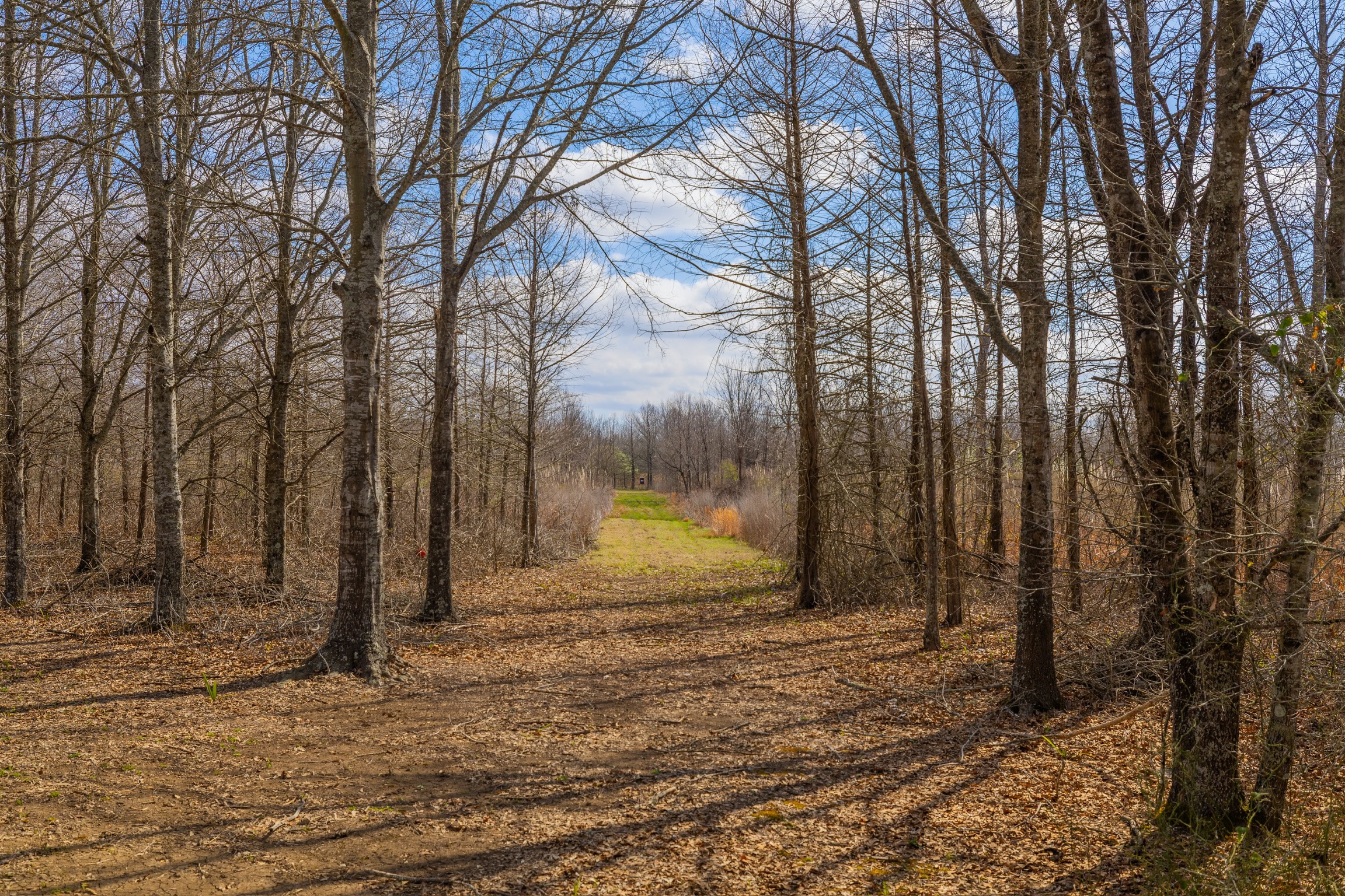 330+/- Acre Deer and Duck Hunting Property with a Camp